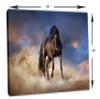 24 x 16 - Stallion Black Horse Wall Art Canvas Print, Horse Art home wall horse decor view 3