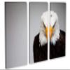 30 x 20 TOTAL - Bald Eagle Portrait Canvas Print Wall Art 3 panel split, Triptych Home Wall Decor interior design view 1