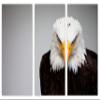 30 x 20 TOTAL - Bald Eagle Portrait Canvas Print Wall Art 3 panel split, Triptych Home Wall Decor interior design view 2