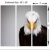 30 x 20 TOTAL - Bald Eagle Portrait Canvas Print Wall Art 3 panel split, Triptych Home Wall Decor interior design view 3