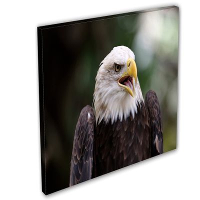 24 x 16 - American Bald Eagle Canvas Print Wall Art, Home Wall Decor interior design