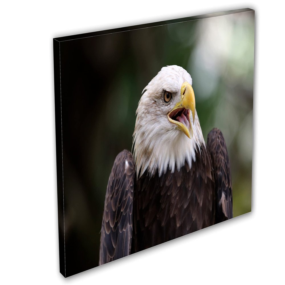 24 x 16 - American Bald Eagle Canvas Print Wall Art, Home Wall Decor interior design