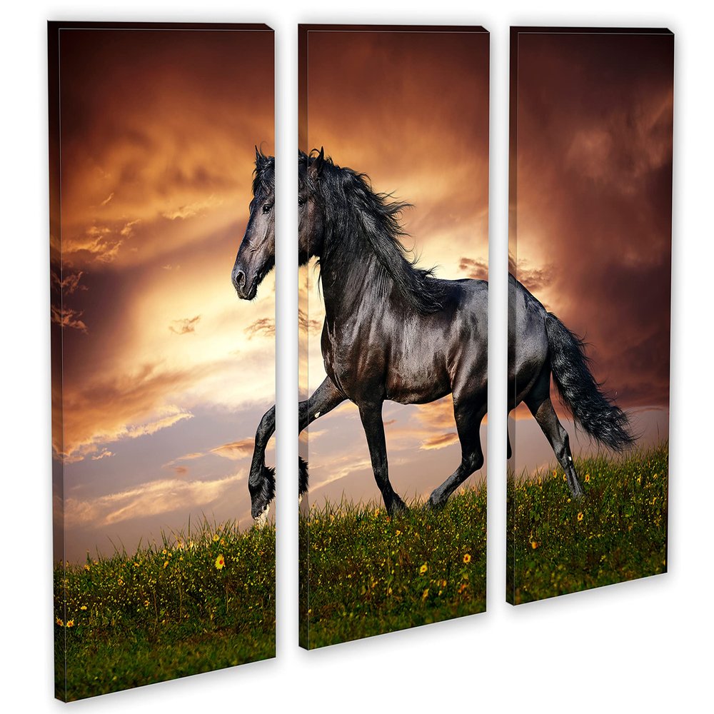 60 x 40 TOTAL - Black Stallion Horse Wall Art Canvas Print 3 panel split, Triptych Friesian Horse home wall decor