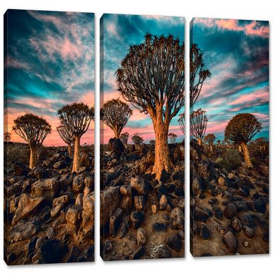 60 x 40 TOTAL - Quiver Tree Forest Canvas Print Wall Art turquoise Skies 3 Panel Split Namibia Landscape