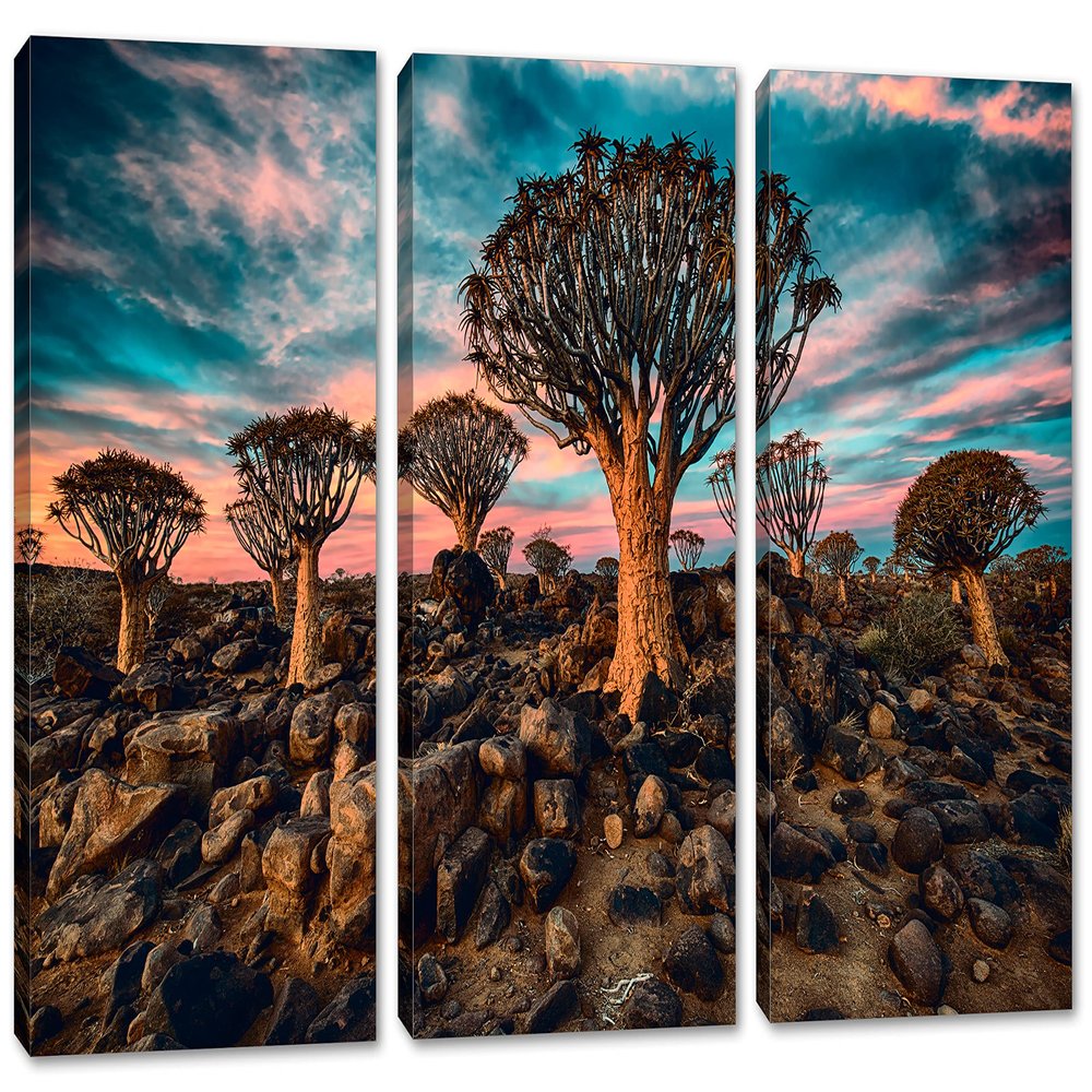 60 x 40 TOTAL - Quiver Tree Forest Canvas Print Wall Art turquoise Skies 3 Panel Split Namibia Landscape