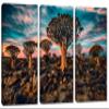 60 x 40 TOTAL - Quiver Tree Forest Canvas Print Wall Art turquoise Skies 3 Panel Split Namibia Landscape view 1