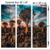 60 x 40 TOTAL - Quiver Tree Forest Canvas Print Wall Art turquoise Skies 3 Panel Split Namibia Landscape view 3