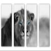 64 x 40 TOTAL - African Lion Black & White, Blue eyes Canvas Print 4 Panel Split Wall Art. wall decor view 1