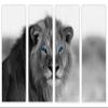 64 x 40 TOTAL - African Lion Black & White, Blue eyes Canvas Print 4 Panel Split Wall Art. wall decor view 2