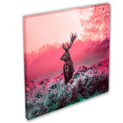 24 x 16 - Pink deer in morning sun Canvas Print Wall Art. Wildlife Photography print