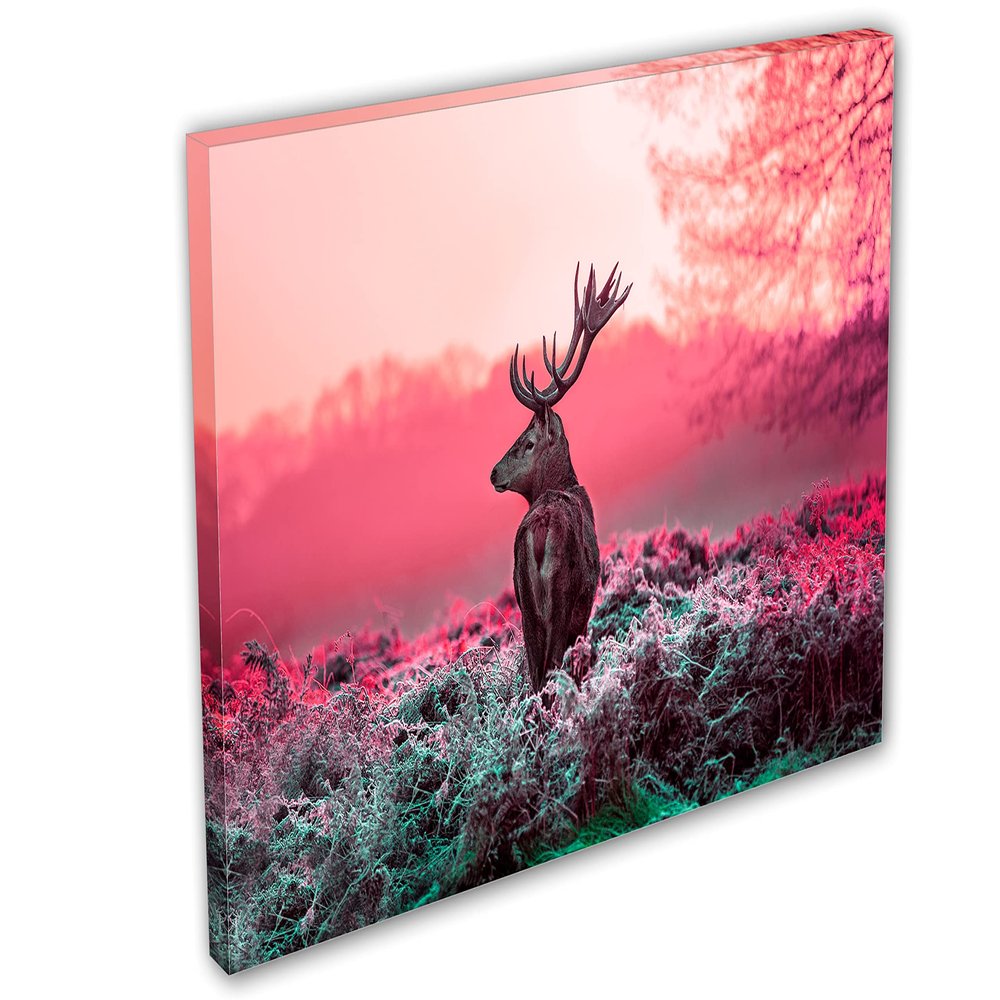 24 x 16 - Pink deer in morning sun Canvas Print Wall Art. Wildlife Photography print