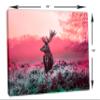24 x 16 - Pink deer in morning sun Canvas Print Wall Art. Wildlife Photography print view 3