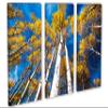 30 x 20 TOTAL - Aspen Trees and Blue Skies Canvas Print. 3 Panel Split, Triptych view 1
