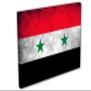 24 x 16 - Syria Flag Grunge Canvas Print Wall Art. Country Flag Art home decor view 1