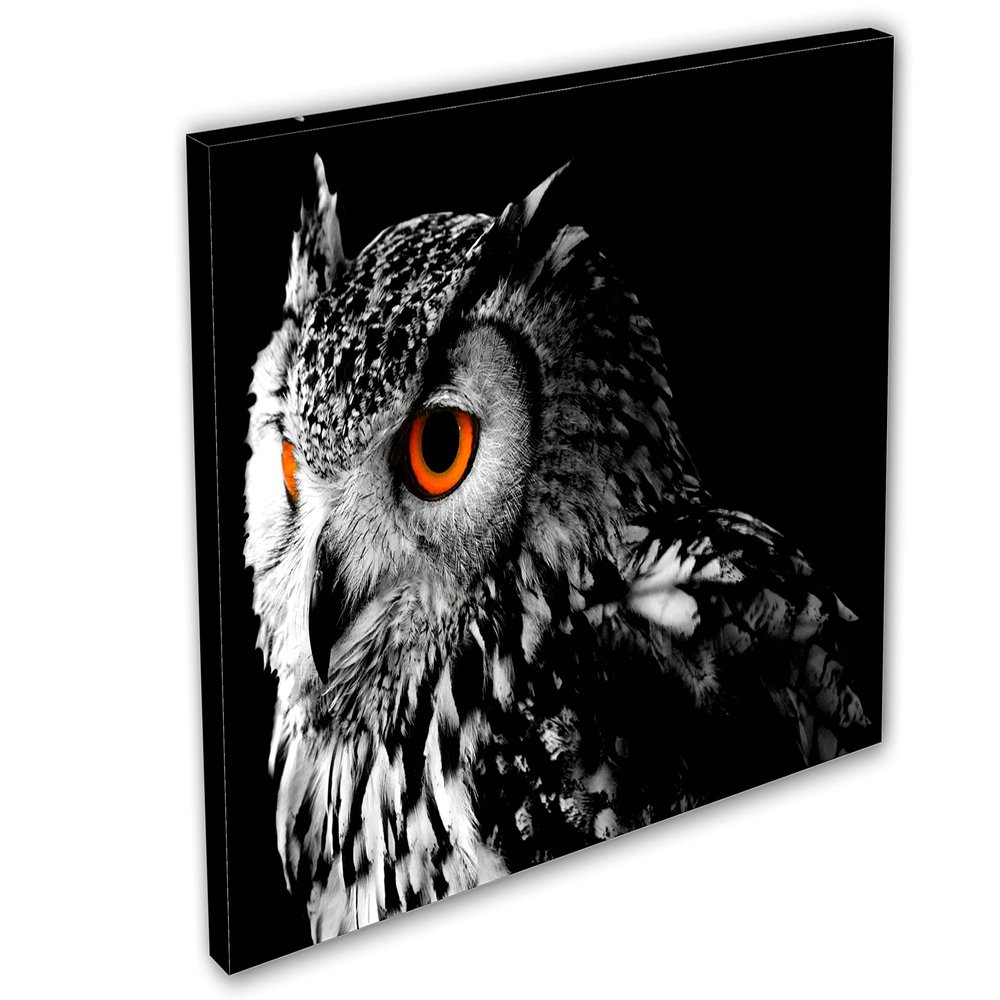 24 x 16 - Northern Pygmy Owl Canvas Print. Wildlife, nature photography