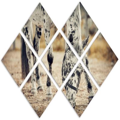 43 x 29 TOTAL - Horse feeding Canvas Print Wall Art sepia tone 7 Panel Butterfly Split young appaloosa horse art