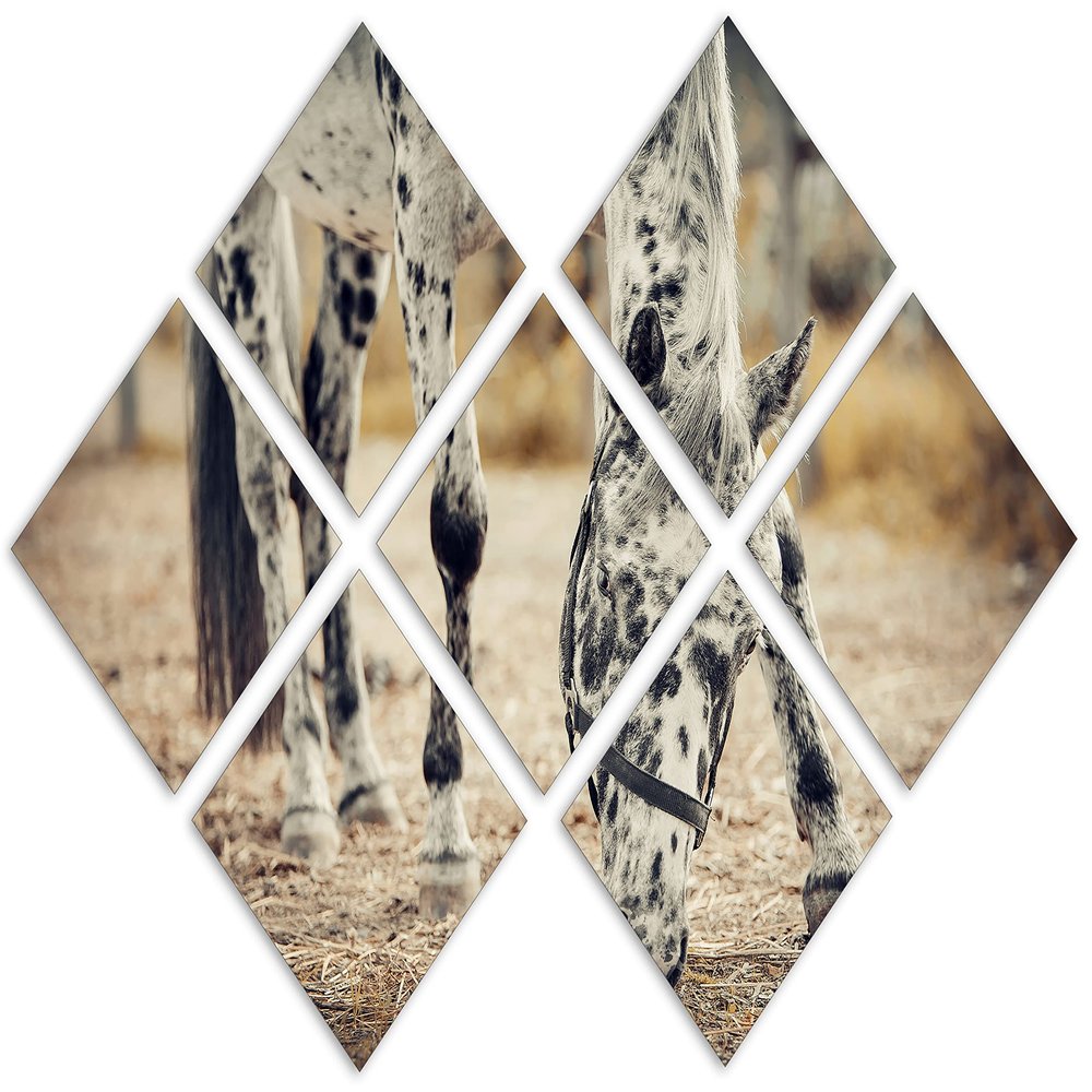 43 x 29 TOTAL - Horse feeding Canvas Print Wall Art sepia tone 7 Panel Butterfly Split young appaloosa horse art