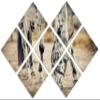 43 x 29 TOTAL - Horse feeding Canvas Print Wall Art sepia tone 7 Panel Butterfly Split young appaloosa horse art view 1