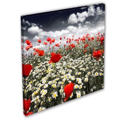 24 x 16 - Poppies in field Canvas Print Wall Art