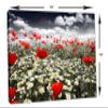 24 x 16 - Poppies in field Canvas Print Wall Art view 3