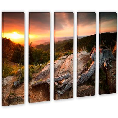 90 x 60 TOTAL - Shenandoah National Park Wall Art Canvas Print 5 Panel Split, home decor, house wall decor