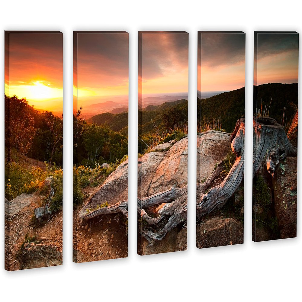 90 x 60 TOTAL - Shenandoah National Park Wall Art Canvas Print 5 Panel Split, home decor, house wall decor
