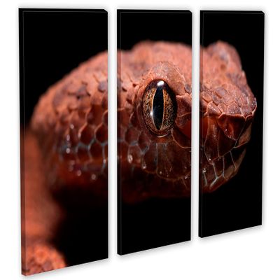 60 x 40 TOTAL - Red Viper Snake Head Wall Art Canvas Print 3 panel split, Triptych Home Wall Decor, interior design