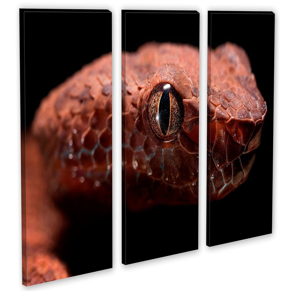 60 x 40 TOTAL - Red Viper Snake Head Wall Art Canvas Print 3 panel split, Triptych Home Wall Decor, interior design