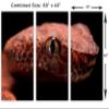 60 x 40 TOTAL - Red Viper Snake Head Wall Art Canvas Print 3 panel split, Triptych Home Wall Decor, interior design view 3