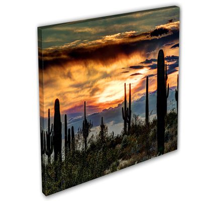 18 x 12 - Sonoran Desert Arizona Sunset Wall Art Canvas Print, home interior design