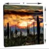 18 x 12 - Sonoran Desert Arizona Sunset Wall Art Canvas Print, home interior design view 3