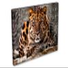 24 x 16 - Amur Leopard Canvas Print Wall Art purple eyes Big Cat, wildlife, animal art view 1