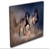 24 x 16 - Black Stallion Horses Wall Art Canvas Print, Horse Art home wall decor view 1