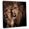 24 x 16 - Roaring lion and lioness Wall Art Canvas Print, Lion Art, Lioness Art, Animal Art Print view 1