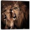 24 x 16 - Roaring lion and lioness Wall Art Canvas Print, Lion Art, Lioness Art, Animal Art Print view 2