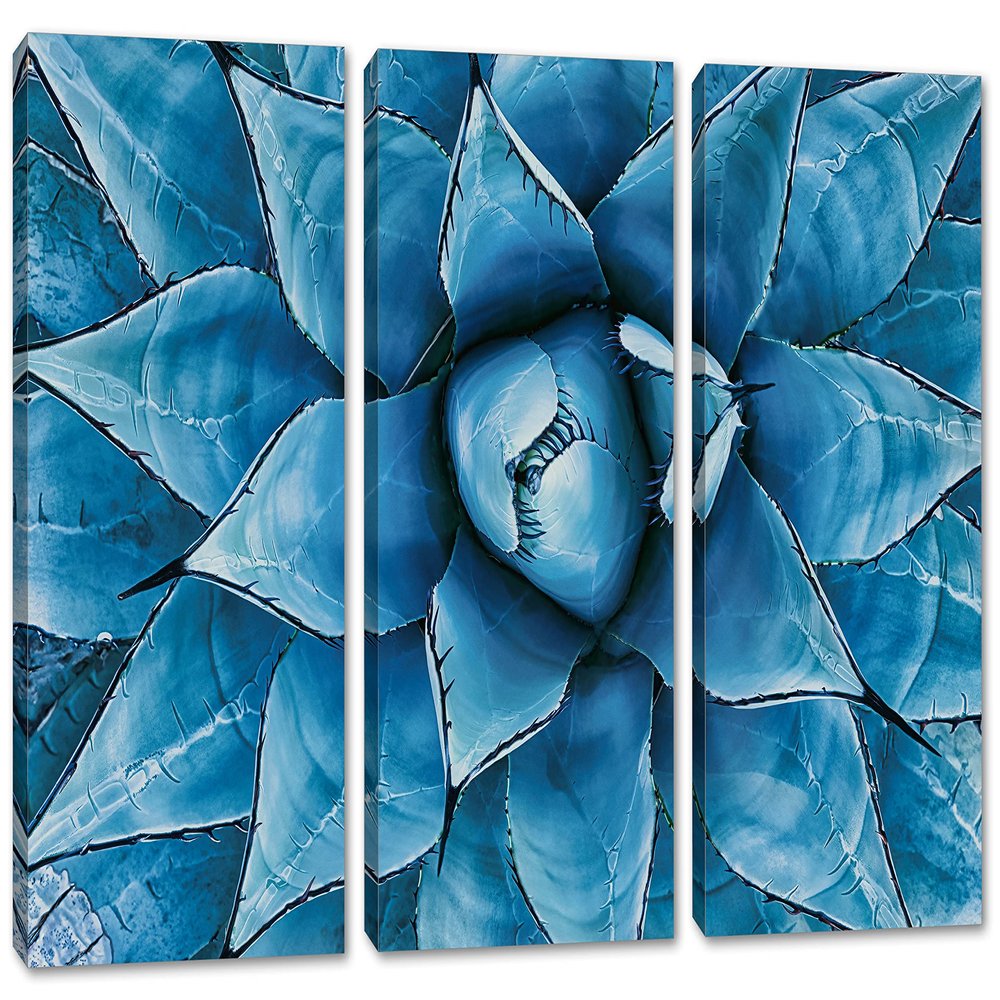 60 x 40 TOTAL - Blue Agave Canvas Print Wall Art 3 Panel Split Agave Plant, Botanical Wall Art Decor Print