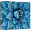 60 x 40 TOTAL - Blue Agave Canvas Print Wall Art 3 Panel Split Agave Plant, Botanical Wall Art Decor Print view 1