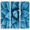 60 x 40 TOTAL - Blue Agave Canvas Print Wall Art 3 Panel Split Agave Plant, Botanical Wall Art Decor Print view 2
