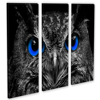 30 x 20 TOTAL - Dark Blue Eyed Owl wall art Canvas Print 3 panel split, Triptych. Bird Art Decor Home Wall Decor