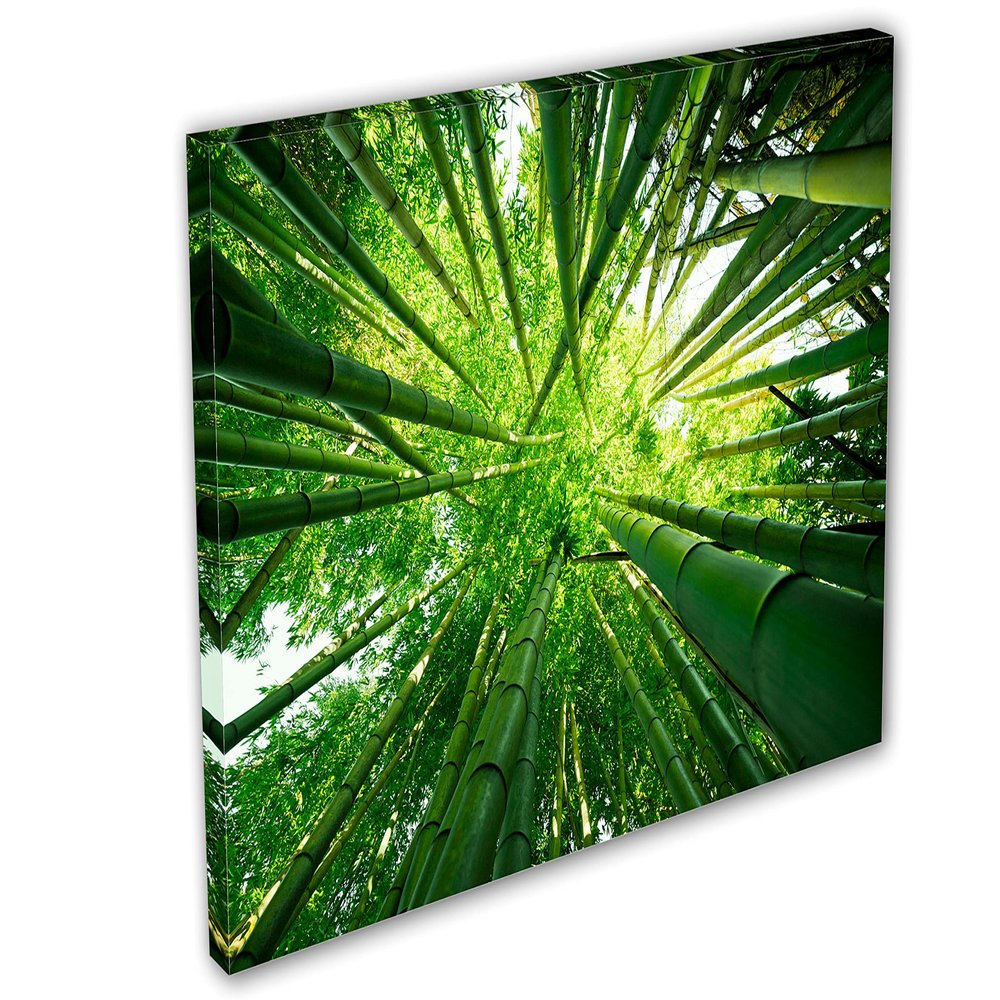 54 x 36 - Green Bamboo Trees Wall Art Canvas Print, home decor, house wall decor
