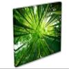 54 x 36 - Green Bamboo Trees Wall Art Canvas Print, home decor, house wall decor view 1