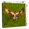 24 x 16 - Osprey salmon Catch Canvas Print Wall Art. Bird of prey Art Home Wall Decor view 3