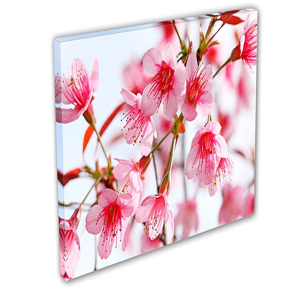 24 x 16 - Pink Sakura Flower Blossom Canvas Print Wall Art decor for home or office