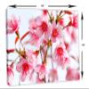 24 x 16 - Pink Sakura Flower Blossom Canvas Print Wall Art decor for home or office view 3