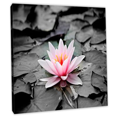 24 x 16 - Water Lily Flower Canvas Print Wall Art, Zen Art. Zen Print, Spa Decor, Flower art