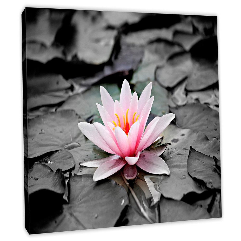 24 x 16 - Water Lily Flower Canvas Print Wall Art, Zen Art. Zen Print, Spa Decor, Flower art