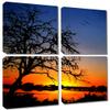 20 x 20 TOTAL - Tree Photo at Dawn Canvas Print 4 Panel Split (Quad) Wall Art view 1