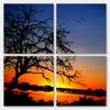 20 x 20 TOTAL - Tree Photo at Dawn Canvas Print 4 Panel Split (Quad) Wall Art view 2