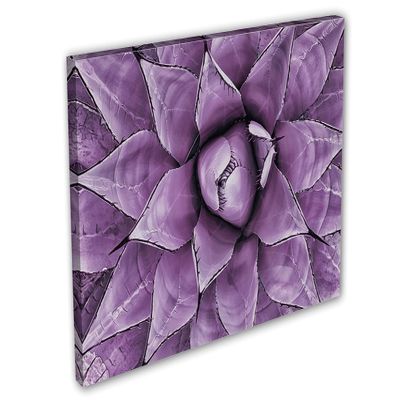 60 x 40 - Purple Agave Canvas Print Wall Art Agave Plant Botanical Wall Art Decor