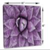 60 x 40 - Purple Agave Canvas Print Wall Art Agave Plant Botanical Wall Art Decor view 3